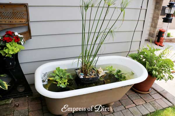 DIY Bathub Garden Pond by EmpressOfDirt