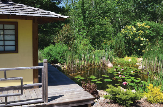DIY Natural Backyard Pond by MotherEarthNews