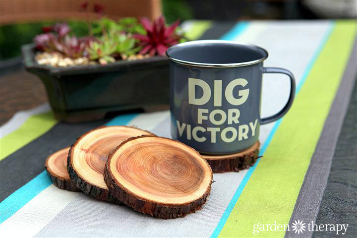 DIY Natural Branch Coasters