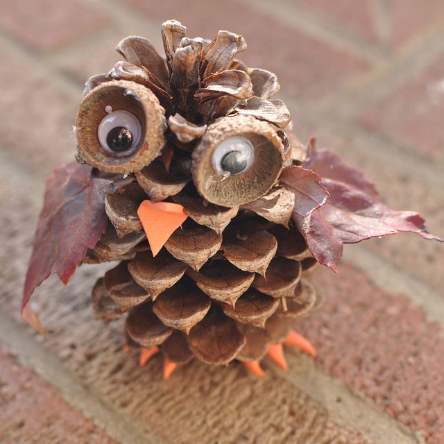 DIY Pine Cone Owl